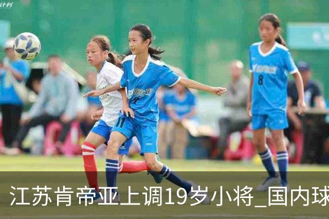 江苏肯帝亚上调19岁小将 国内球员注册达16人